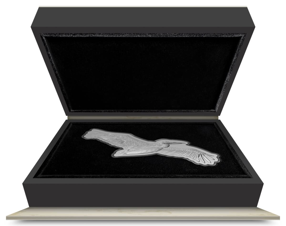 An open black box displaying a 2024 Niue Pelican Great Birds Great White 2 oz Silver Proof Coin with Decorative Box and COA on a black velvet lining.