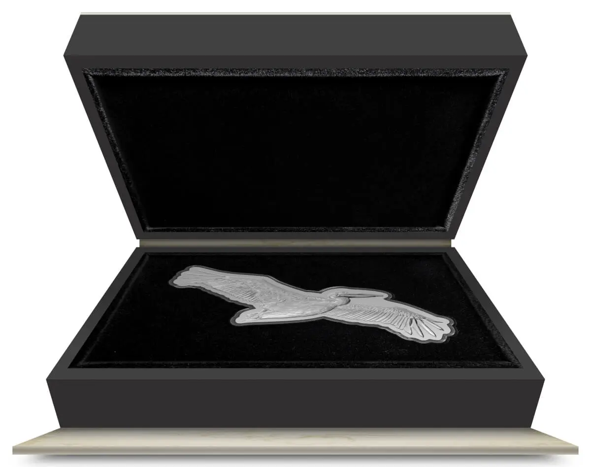An open black box displaying a 2024 Niue Pelican Great Birds Great White 2 oz Silver Proof Coin with Decorative Box and COA on a black velvet lining.